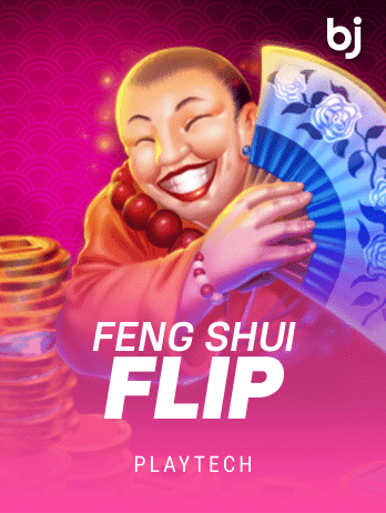 Feng Shui Flip game cover